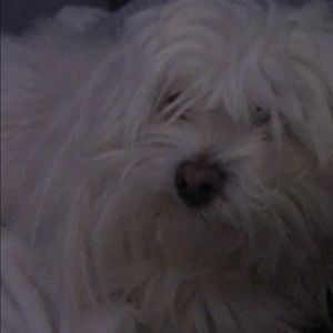 Meet your Posher, Murs